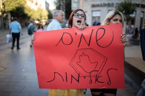 הממשלה לא משקיעה מספיק בטיפול באלימות