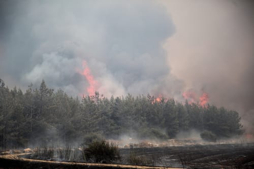 רגיעה בשריפות: 15 מבנים נפגעו, 7 פצועים