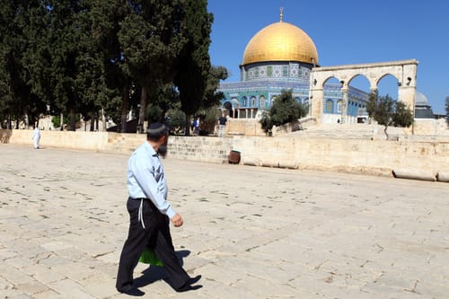 עלייה להר הבית אינה תנאי בחיבור בין נעם ועוצמה