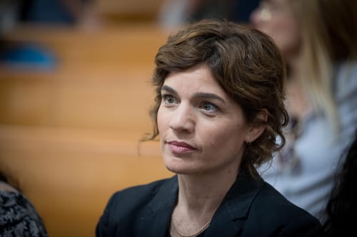 זנדברג: "תתעלמו מהספין התורן; בואו נקים ממשלה"