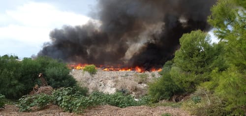 שריפה ביישוב שלומי: החל פינוי בתי התושבים
