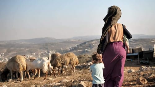 שעות אחרונות | מחזקים את גבעת קומי אורי ביצהר