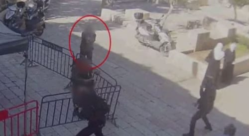 דיווחים: גופת המחבל מהר הבית תימסר למשפחתו