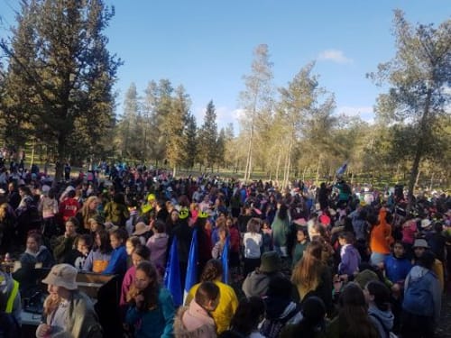 הושג מתווה: תנועות הנוער חוזרות לפעילות