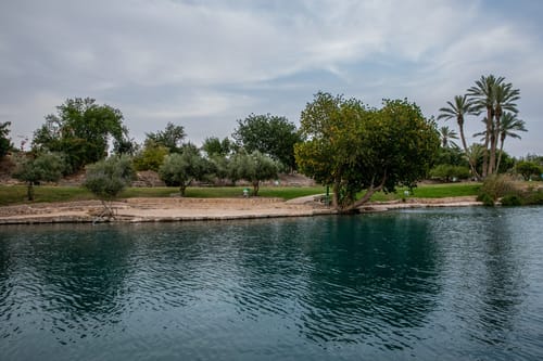 נער בן 15 טבע למוות; המשפחה תתרום את איבריו