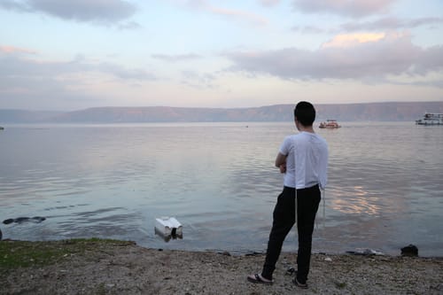 קשת וחץ: מנסים לקחת לכם את החופש