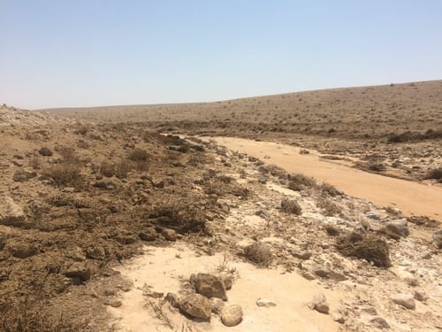 בהנחיית גילה גמליאל: נחל אשלים נפתח אחרי 3 שנים