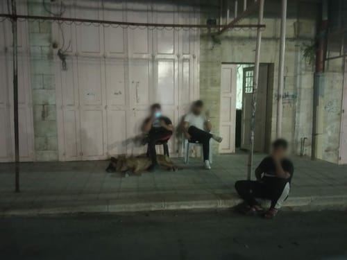 כלב תקיפה שוחרר לעבר תושבת חברון, אין עצורים