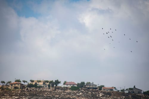 פעוט נעקץ ע"י עקרב בבית בשומרון; מצבו קשה