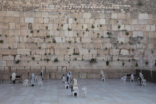 מהבית: הלל, תפילה ותיקון הושענא רבה בכותל הדרומי