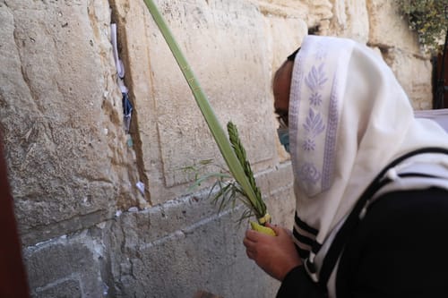 חג הסוכות – הזדמנות לגרש את הקורונה! צפו: