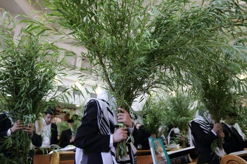 הדרך של עיריית ירושלים למכירת ערבות בזמן קורונה