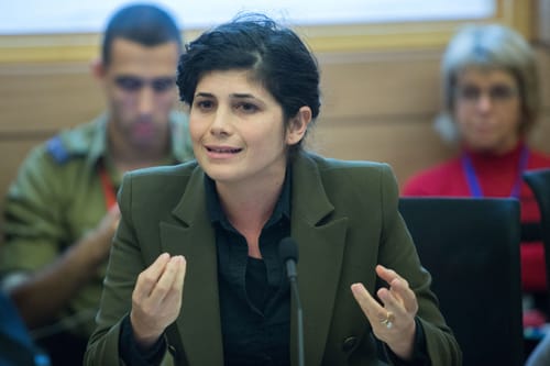 שרן השכל מסבירה: "ידעתי שהצעת החוק תדחה"
