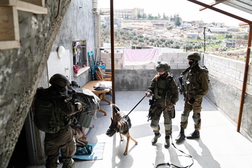 תיעוד: כך תופסים אמל"ח וכסף טרור בהר חברון