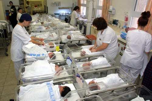 עו"ד על הפרשה • תזריע: בחירת מין היילוד