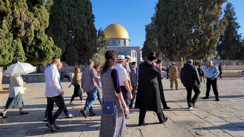 המשטרה שוב עצרה פעילת הר הבית בלי סיבה