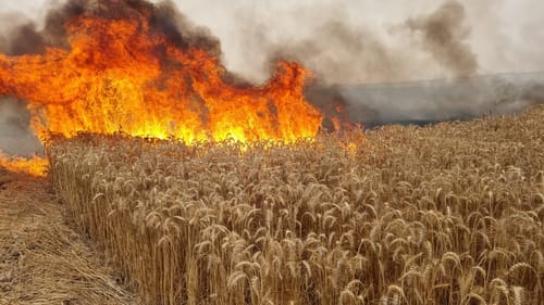 "שומר החומות": תיעוד נדיר ממצלמתו של קצין הביטחון