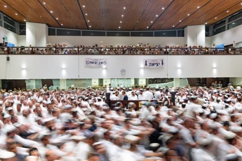 הרב עמי הכריע: זה מתווה הקפות שניות בהר המור