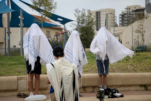 האשמת הגרעינים התורניים בלתי מבוססת | תגובה