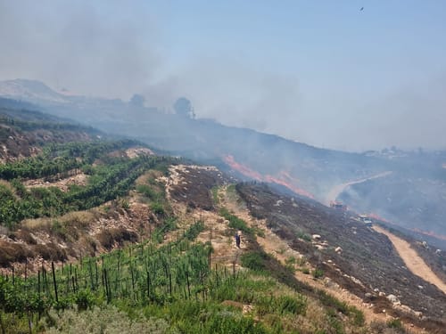 שריפה ליד ליד יצהר, התחדשה האש ליד שורש