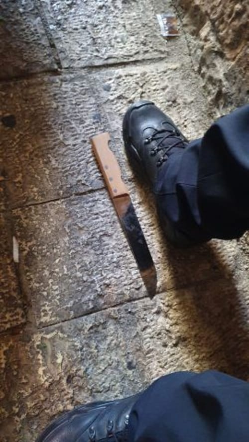 דקרו ושרפו: אלו המחבלות ששוחררו אמש מהכלא