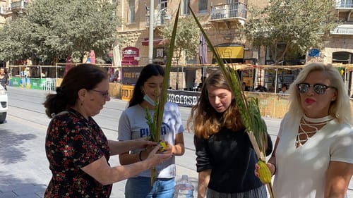צפו: קצר על הפרשה | עולם שוויוני על פי ההלכה