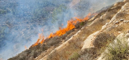 שריפה בהר גילה: ציר וואלג'ה נחסם לתנועה