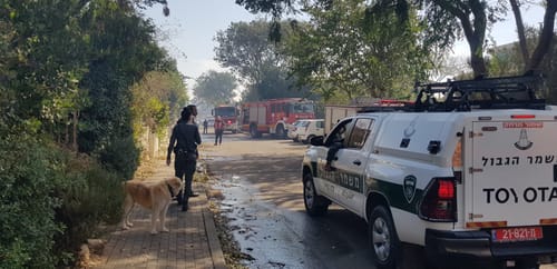גל שריפות בשבת, חשד: חלק נגרמו מהצתה