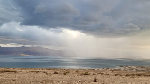 כמה חיכינו, ואיזה יופי זה: תמונות של חורף בישראל
