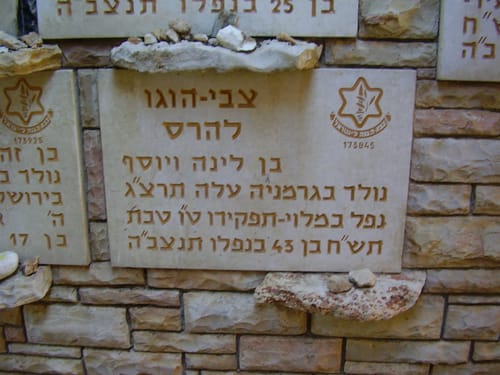 היום בהיסטוריה: הרופא שנפל בעת מילוי תפקידו
