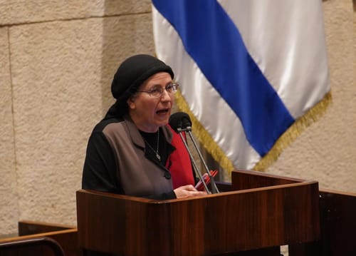 סטרוק דורשת: דיון בנושא "כניעת הממשלה לנגב"