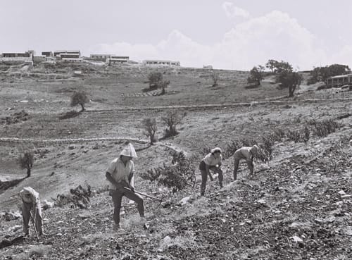 היום בהיסטוריה: חלל נצר אחרון הצעיר ביותר