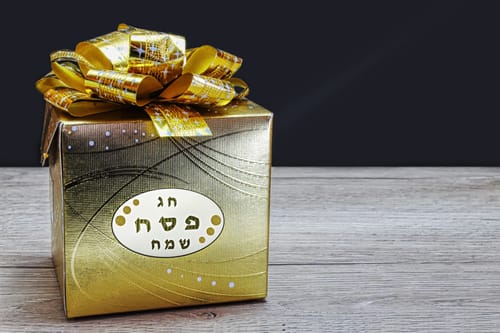 משעבוד לגאולה כלכלית: עזרו למשפחות לשמוח בחג
