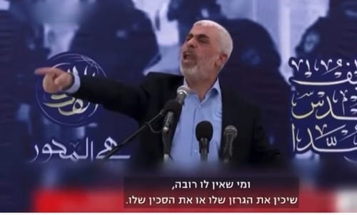 ההשראה? סינאוור בנאום: "למי שאין רובה, שיכין גרזן"