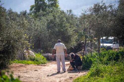 למעלה מ-100 שב"חים נתפסו ביממה האחרונה