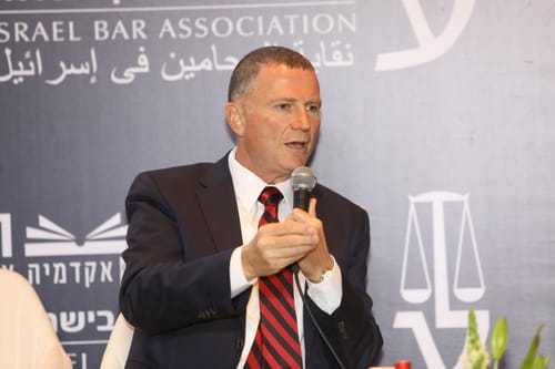 אדלשטיין: בגלל נתניהו יש כאן ממשלה שעושה נזקים
