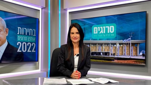 המועמדת בליכוד שרוצה לשנות את שיטת הבחירות