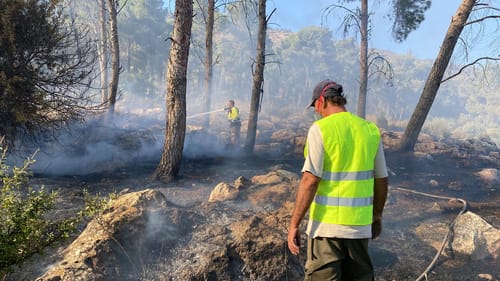 שריפה פרצה בהר תבור: כוחות כיבוי נמצאים במקום