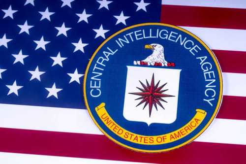 ה-CIA: "אין עדות שמדובר בארגוני טרור פלסטינים"