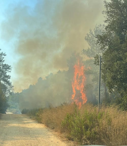שריפה פרצה ליד בית מאיר, עשרות צוותי כיבוי במקום