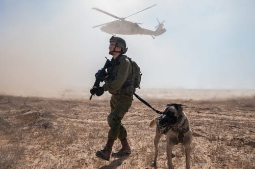 צפו: תצוגת תכלית של צה"ל לרמטכ"לים זרים