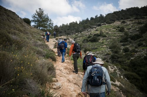 בואו לעלות ברגל בסוכות: צעדה מגוש עציון לירושלים