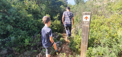 אלפים צפויים להשתתף במרתון התנ"ך בבנימין