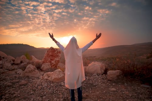 הרב אהרן ליכטנשטיין בספר חדש: "רוח אביב"