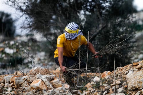 "החליט לירות בשוטרים" 15 שנות מאסר נגזרו על מחבל