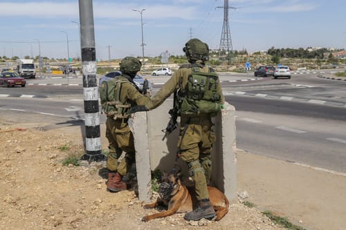 צוערים שהיו בניווט ירו למוות בכלב ליד ירכא