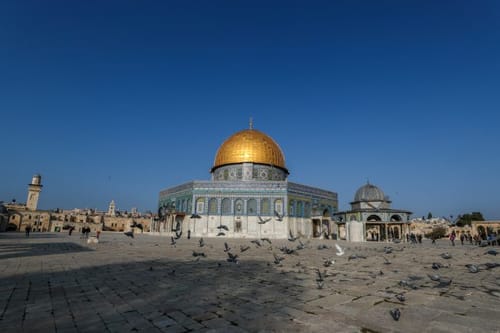 הדרך להשיג שלום עוברת בבית המקדש