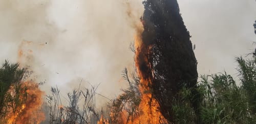 השריפה מתפשטת: רכבות הופסקו, תושבים פונו