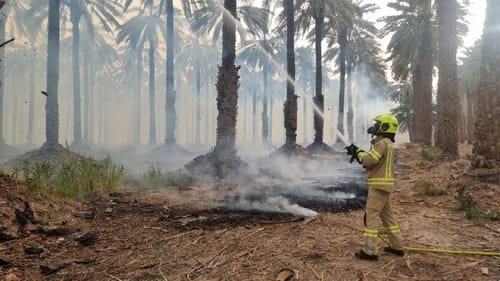 השריפה בקליה: עדיין לא הושגה שליטה על האש