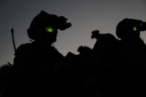 דיווח: כוח קומנדו ישראלי לכד בכיר חיזבאללה בצפון לבנון